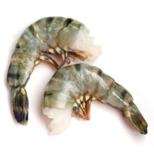 Tiger Shrimp