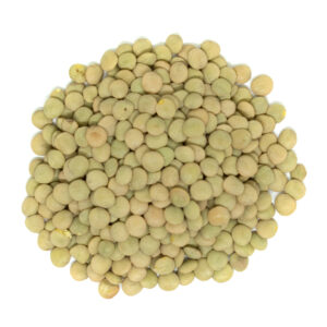 Green Lentils